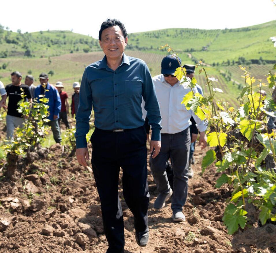 Recent content highlighting the FAO Director-General's and Senior Leadership's visits, meetings, and events.