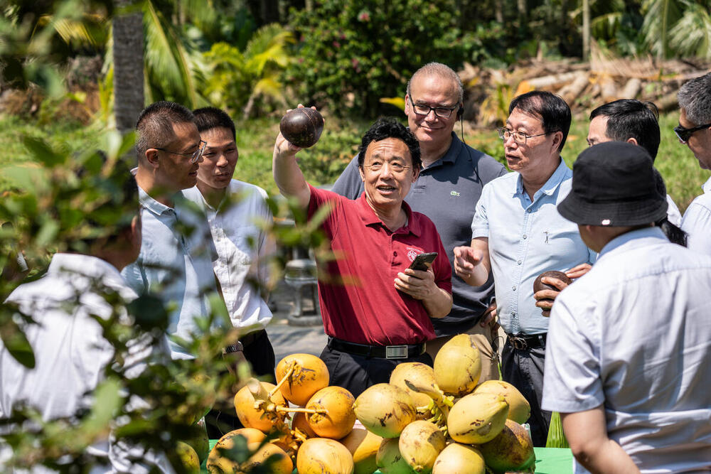 Recent content highlighting the FAO Director-General's and Senior Leadership's visits, meetings, and events.