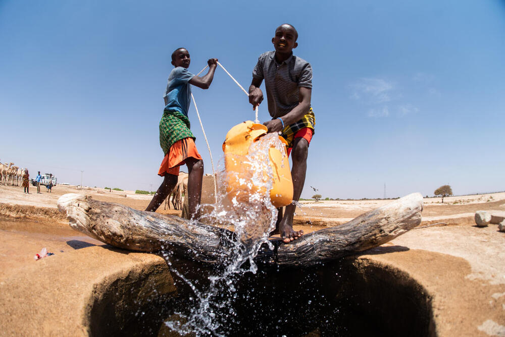<p>The FAO Digital Media Hub contains a collection of nearly 200,000 still images illustrating the <a href="http://www.fao.org" target="_blank">Food and Agriculture Organization of the United Nations</a>’ work to fight hunger and build a more sustainable, equitable world. The collection covers FAO and partner projects, news events and thematic images, as well as a selection of the historical archive dating back to FAO’s founding in 1945.</p>
<p>&nbsp;</p>
<p>In the Digital Media Hub you can search and view images, create and share selections of images, place orders and download assets.</p>
<p>&nbsp;</p>
<p>Please note that we are progressively adding FAO photo collections, including new and archival material, here. Please also note that <a href="C.aspx?VP3=CMS3&VF=TermsAndConditionsv2_VForm" target="_blank">Terms and Conditions</a> apply to use FAO content.</p>
<p>&nbsp;</p>
<p>For further information about photography at FAO or for specific requests, please Email Us. <a href="mailto:Photo-Library@fao.org" target="_blank">Photo-Library@fao.org</a></p>