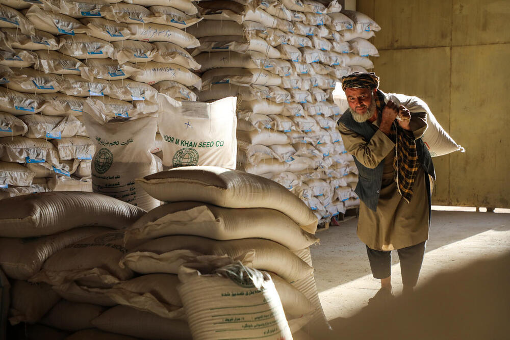 This selection of the FAO Digital Media Hub features recent multimedia from the field, highlighting the work of the Food and Agriculture Organization of the United Nations. 
The collection focuses on food security, agriculture, nutrition, water scarcity, soils, and sustainability — aligned with the Four Betters: better production, better nutrition, a better environment, and a better life. 
It excludes coverage of meetings and events.