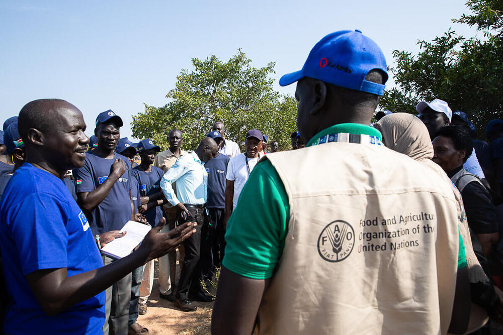 This selection of the FAO Digital Media Hub showcases images of staff and experts from the Food and Agriculture Organization of the United Nations at work in the field.
This collection features operations in agriculture, fisheries, forestry, food safety, and more — with visible FAO branding and a strong link to real-world impact.